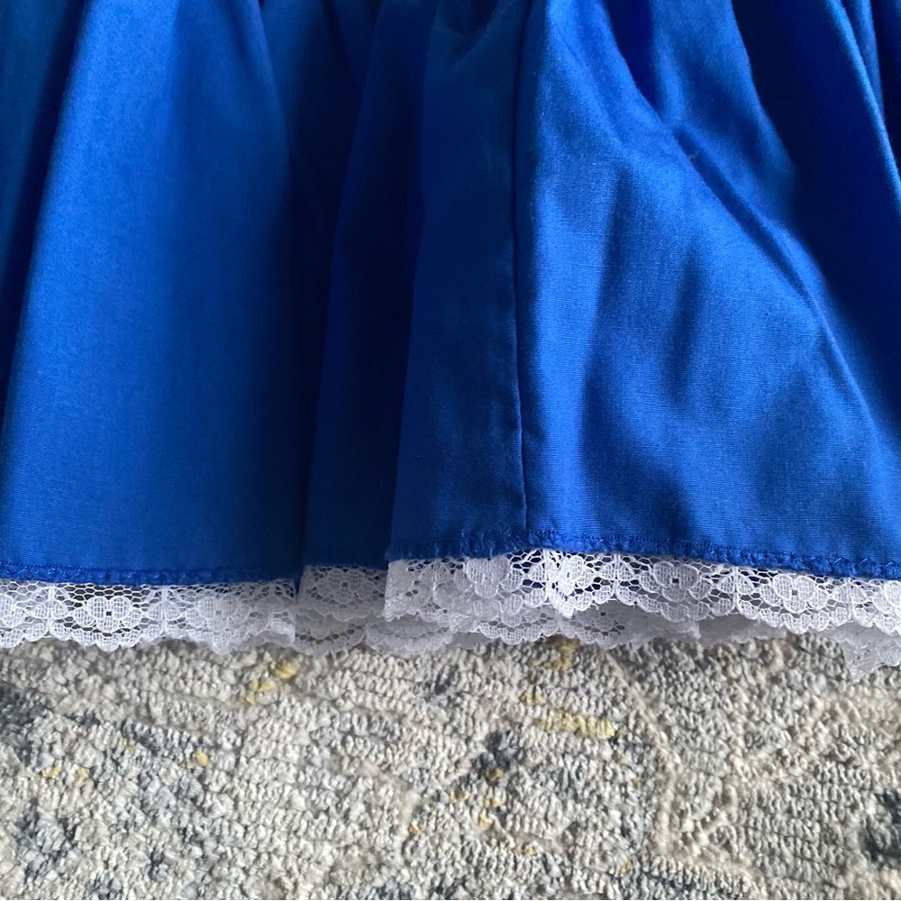 Blue & White Vintage Western Skirt - Picture 4 of 5